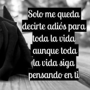 Meet your Posher, Beatriz